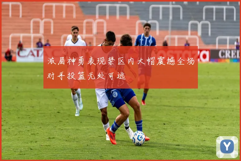 浓眉神勇表现禁区内大帽震撼全场对手投篮无处可逃