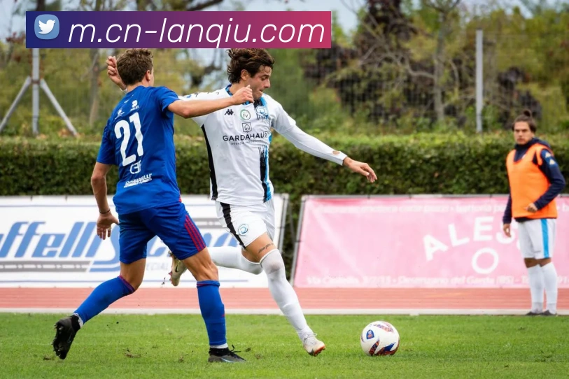 篮球赌注平台生态图